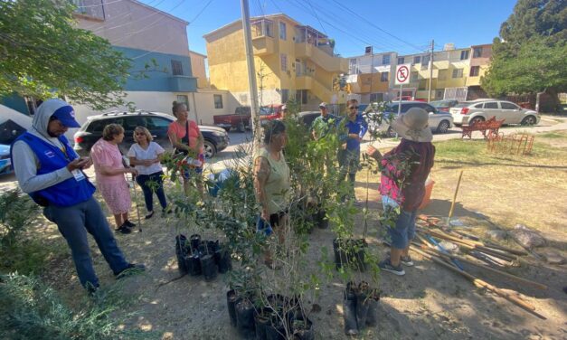 Impulsa Gobierno del Estado jornada de reforestación en Infonavit Casas Grandes