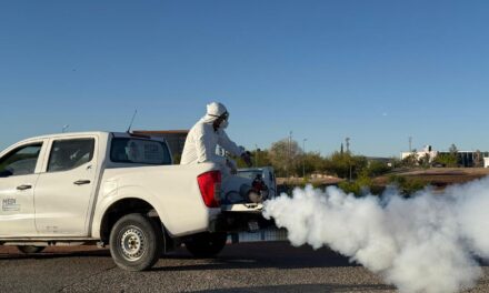 Reanuda Parque Central actividades este jueves