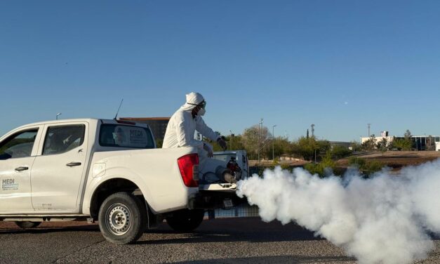 Reanuda Parque Central actividades este jueves