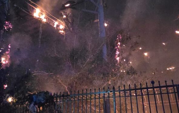 Atienden bomberos incendio en parque recreativo “Las Anitas”; no hubo personas lesionadas