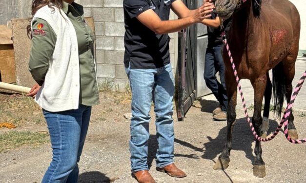 Entrega DABA los animalitos que tenía resguardados luego de rescatarlos de incendio