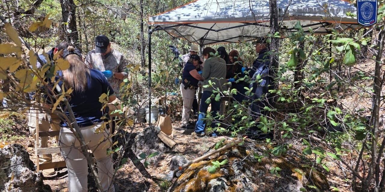 Localizan restos óseos calcinados en Bocoyna durante rastreo de Fiscalía