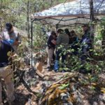 Localizan restos óseos calcinados en Bocoyna durante rastreo de Fiscalía