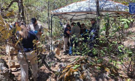 Localizan restos óseos calcinados en Bocoyna durante rastreo de Fiscalía