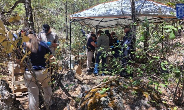 Localizan restos óseos calcinados en Bocoyna durante rastreo de Fiscalía