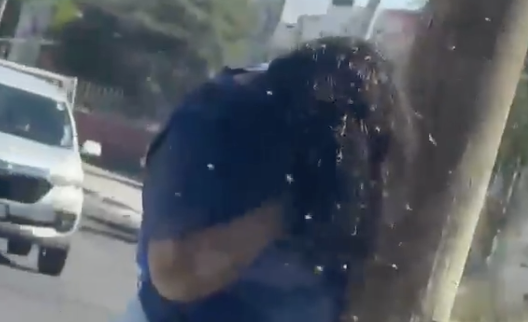 Ataque de abejas deja a mujer con más de 200 picaduras en Culiacán