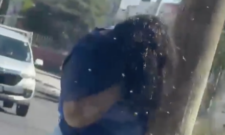 Ataque de abejas deja a mujer con más de 200 picaduras en Culiacán