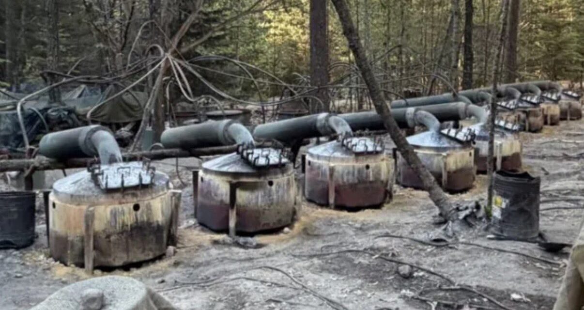 Caso Chihuahua escala a nivel federal: FGR investiga muerte de estadounidenses en zona de narcolaboratorio