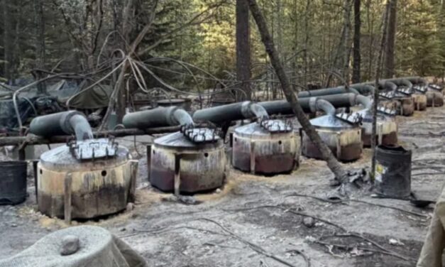 Caso Chihuahua escala a nivel federal: FGR investiga muerte de estadounidenses en zona de narcolaboratorio