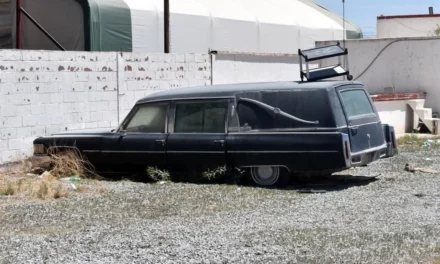 Avanza Fiscalía en judicialización de casos por fraude ligados a “Plenitud”