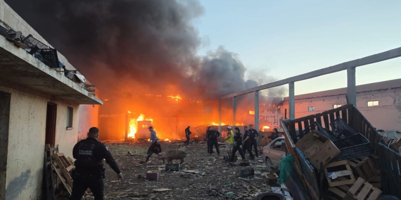 Policías Municipales participan en rescate de animales durante incendio de vivienda en la colonia Santa Rosa
