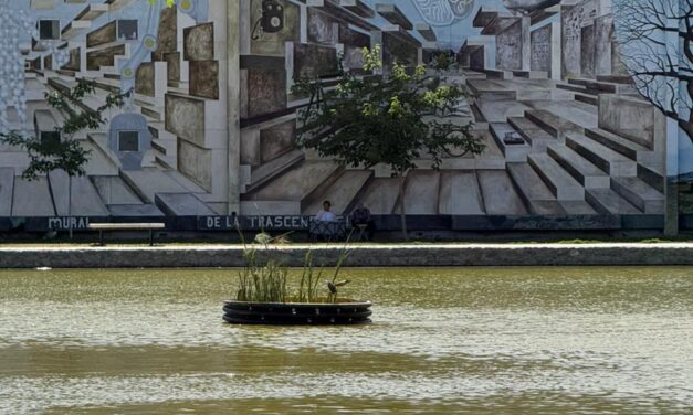 Inicia Parque Central instalación de biorremediadoras para mejorar la calidad y estética del lago