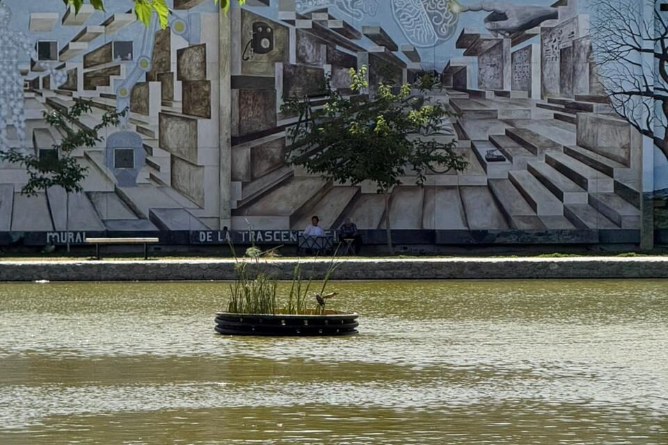 Inicia Parque Central instalación de biorremediadoras para mejorar la calidad y estética del lago