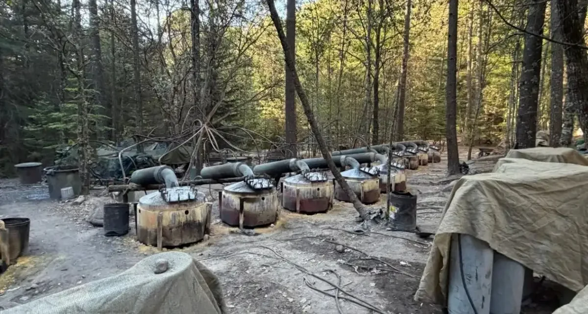 Sheinbaum exige a Estados Unidos y a Chihuahua aclarar presencia de agentes extranjeros en operativo