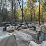 Sheinbaum exige a Estados Unidos y a Chihuahua aclarar presencia de agentes extranjeros en operativo