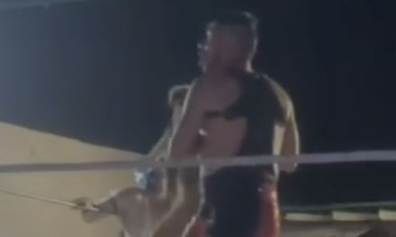 Sancionan a luchadores por maltratar a perrito