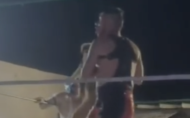 Sancionan a luchadores por maltratar a perrito