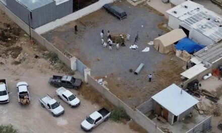 Buscan volver a imponer medida cautelar al dueño de Crematorio Plenitud; ya identificaron a 239 personas