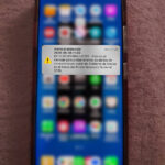 “Sonó la alerta en los celulares”: simulacro sorprende a cientos en Presidencia Municipal