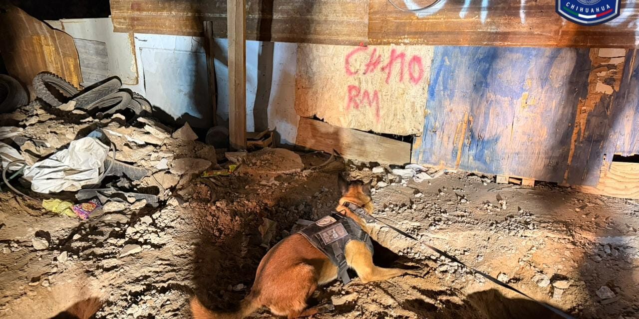 Localizan cuerpo enterrado en patio de vivienda en Ciudad Juárez