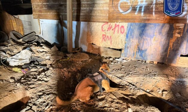 Localizan cuerpo enterrado en patio de vivienda en Ciudad Juárez