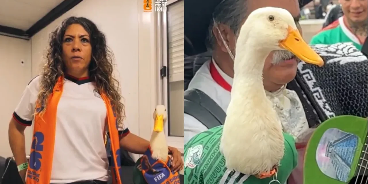 Pato Merlín; su imagen tendrá uso exclusivo