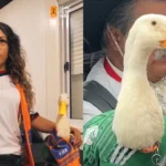 Pato Merlín; su imagen tendrá uso exclusivo