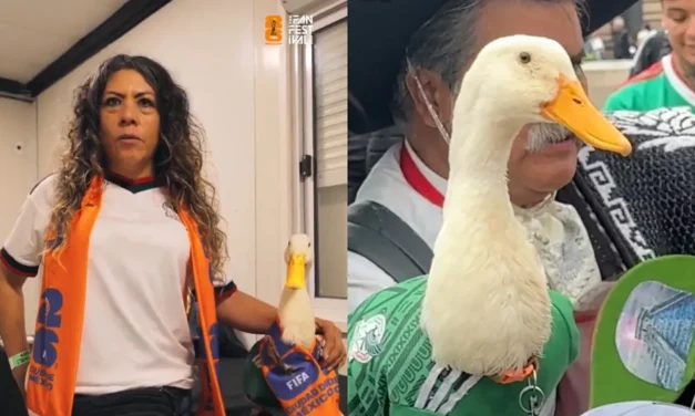Pato Merlín; su imagen tendrá uso exclusivo