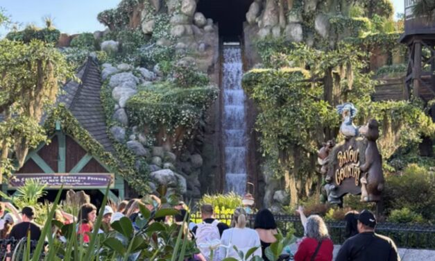 Adolescente sale de juego mecánico en Disneyland y termina descendiendo por una caída de 15 metros