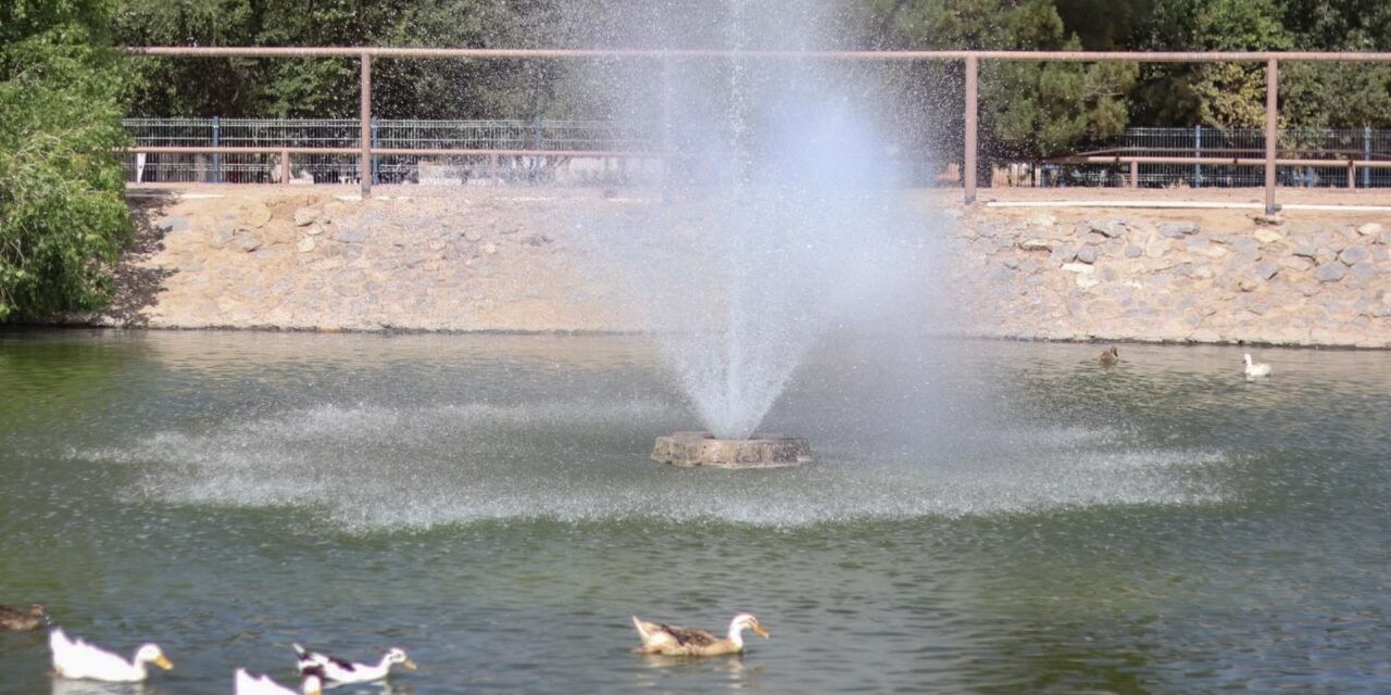 Rehabilitan aireador en el lago del Parque Central para mejorar el ecosistema acuático