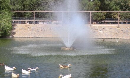 Rehabilitan aireador en el lago del Parque Central para mejorar el ecosistema acuático