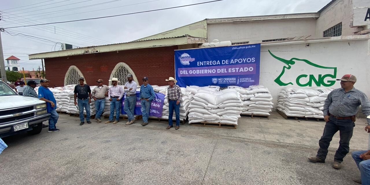 Entrega Gobierno del Estado 80 toneladas de maíz rolado a productores pecuarios del municipio de Ahumada