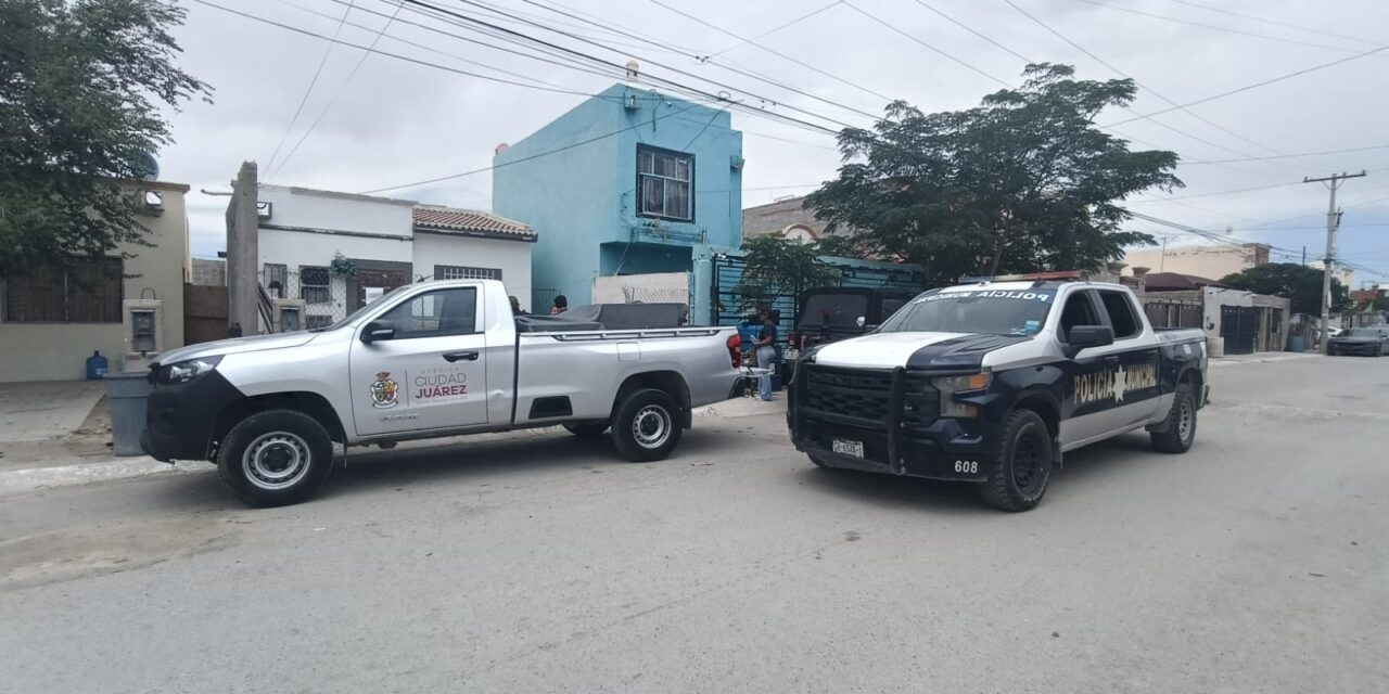 Apoyan Policías Municipales en resguardo de can víctima de maltrato animal