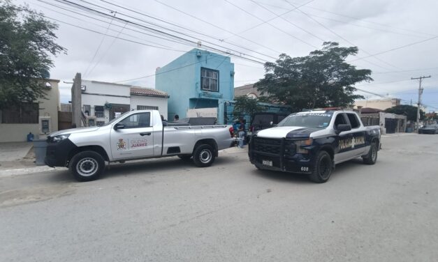 Apoyan Policías Municipales en resguardo de can víctima de maltrato animal