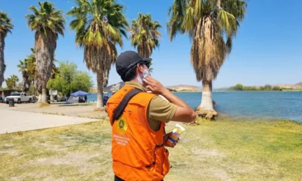 Emite Protección Civil recomendaciones ante altas temperaturas en el estado
