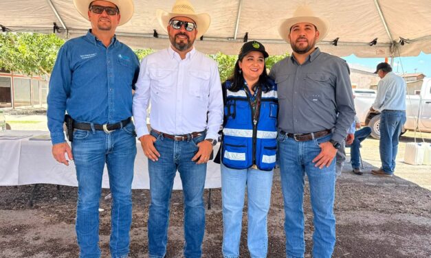 Productores de Casas Grandes reciben 29 toneladas de maíz rolado para fortalecer la actividad ganadera