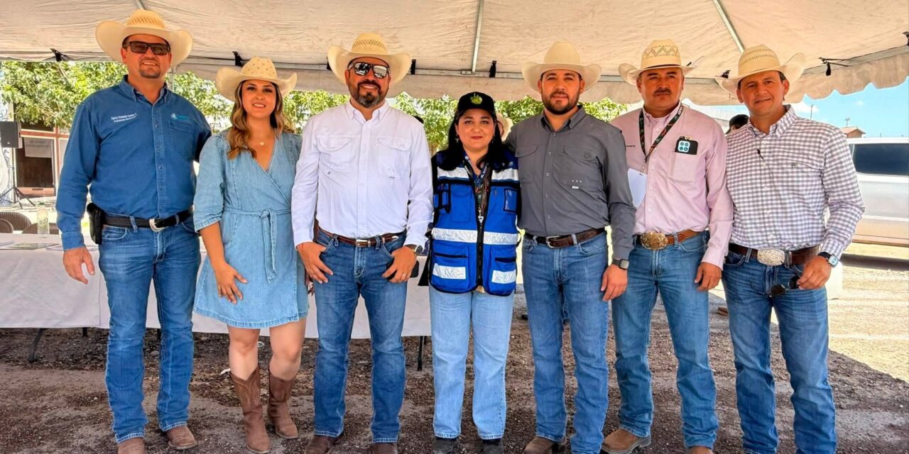 Productores de Casas Grandes reciben 29 toneladas de maíz rolado para fortalecer la actividad ganadera