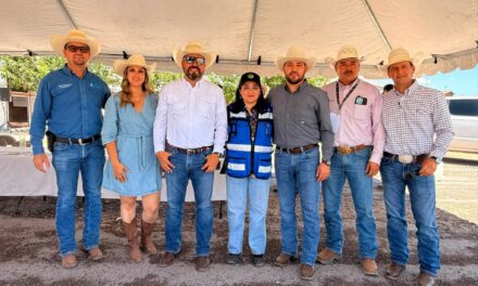 Productores de Casas Grandes reciben 29 toneladas de maíz rolado para fortalecer la actividad ganadera