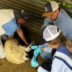 Continúa Gobierno del Estado barrido sanitario para prevenir el GBG en Parral
