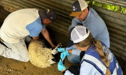 Continúa Gobierno del Estado barrido sanitario para prevenir el GBG en Parral