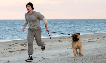 Lanzan nuevo tráiler de “I Play Rocky”, el biopic sobre Sylvester Stallone