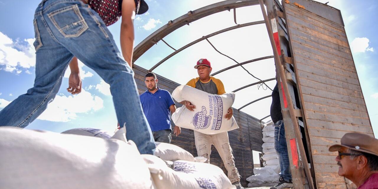 Entrega Estado 60 toneladas de maíz rolado a productores de Juárez y Guadalupe