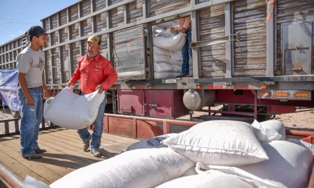 Entrega Estado 60 toneladas de maíz rolado a productores de Juárez y Guadalupe