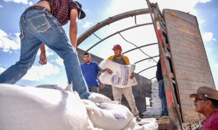 Entrega Estado 60 toneladas de maíz rolado a productores de Juárez y Guadalupe