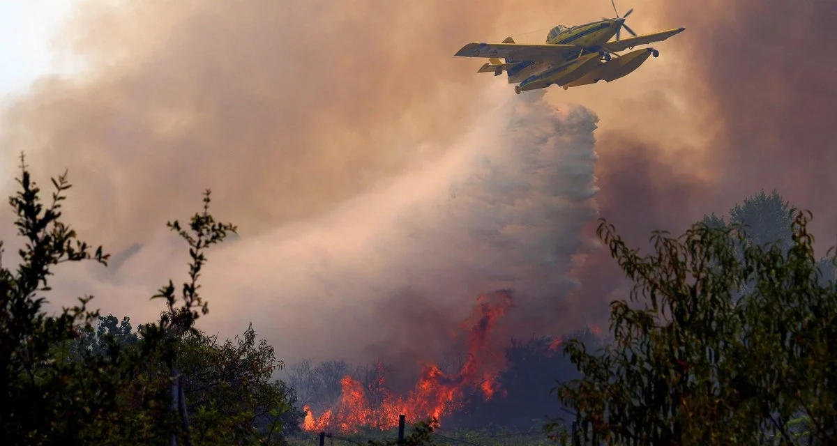 España afronta la peor crisis de incendios forestales de su historia; el fuego arrasa más de 82 mil hectáreas