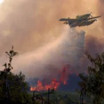 España afronta la peor crisis de incendios forestales de su historia; el fuego arrasa más de 82 mil hectáreas