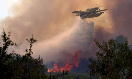 España afronta la peor crisis de incendios forestales de su historia; el fuego arrasa más de 82 mil hectáreas