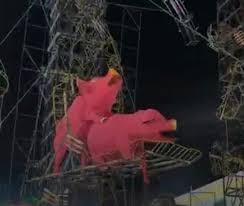 🔥 Indignación en feria de Puebla: desatan polémica por pirotecnia con figuras de cerditos apareándose