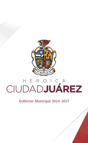Segundo Informe
