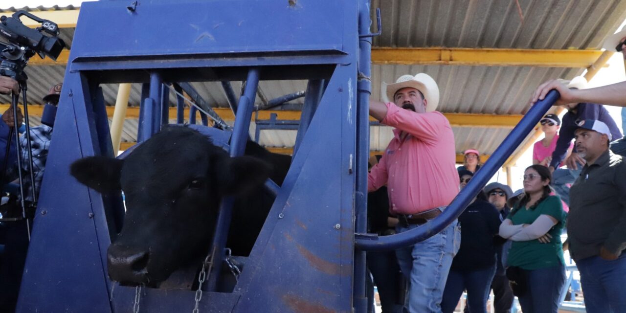 La UACJ lleva conocimiento a la prevención del Gusano Barrenador del Ganado en la frontera norte